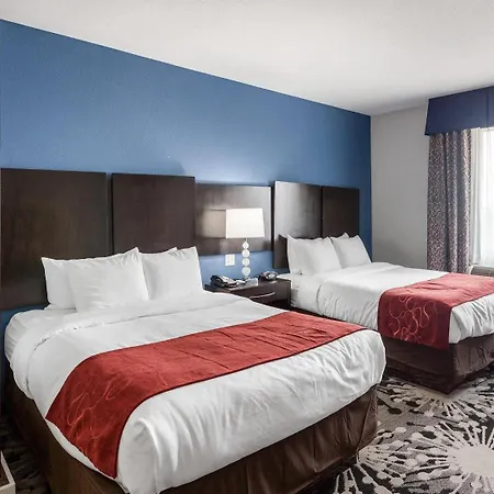 Comfort Suites Greenville-3