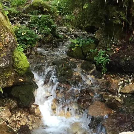 Gasthof Gosausee-3