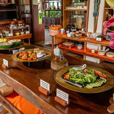 Hoi An Chic - Green Retreat-2