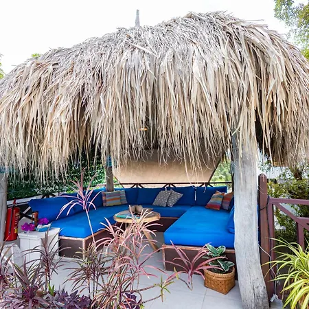 Hibiscus Beach House-3