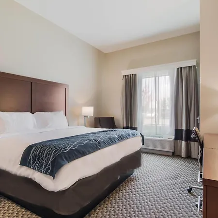 Comfort Inn & Suites Rock Hill Northeast-3