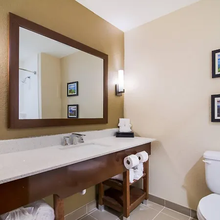 Comfort Inn & Suites Rock Hill Northeast-3