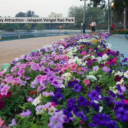 Collection O Park Heights Banjara Hills Near Gvk One Mall-2