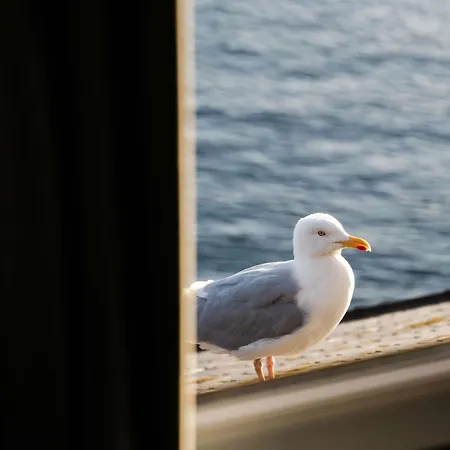 Hotel Mercure Roscoff Bord De Mer-3