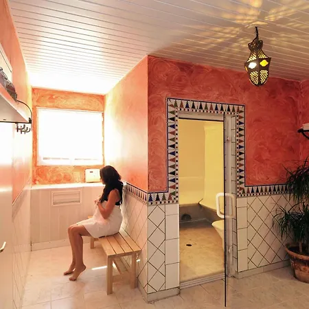 ibis Orange Sud-2