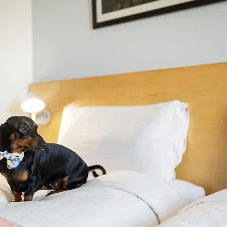 Ibis Bengaluru Hosur Road - An Accor Brand-2