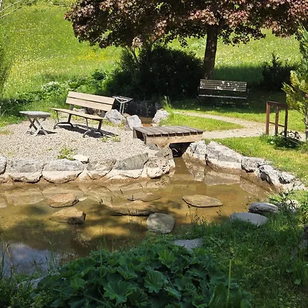 Hotel Steinbock-2