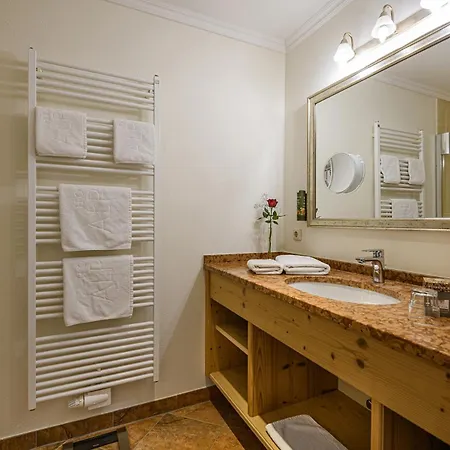 Hotel Alpina Wellness&Spa Resort-3