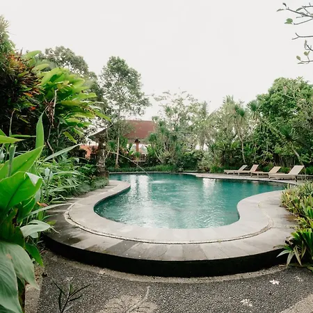 Arjana Bungalows 2-2