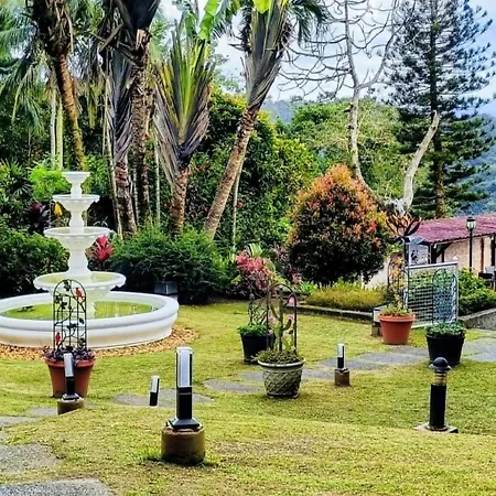 Villa Marinelli Bed And Breakfast-2