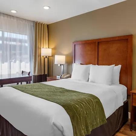 Comfort Inn Bishop-3
