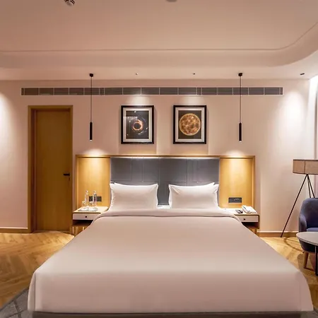 Radisson Hotel Nathdwara-3