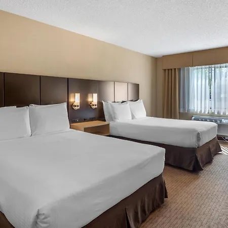 Best Western Seattle Airport Hotel-2
