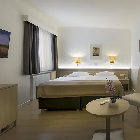 Hotel Francais-3