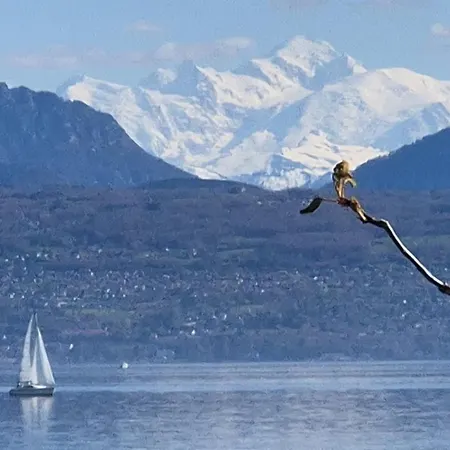 Romantik Hotel Mont Blanc au Lac-3