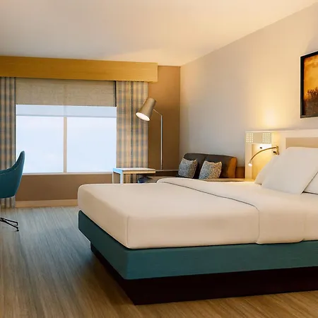 Hilton Garden Inn Houston/The Woodlands-3