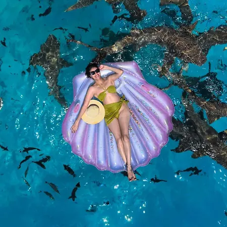 Kaani Beach Hotel - Stay 3 Nights And Save 20 Percent On Spa And 10 Percent On Dining Until 31 October 2026-2