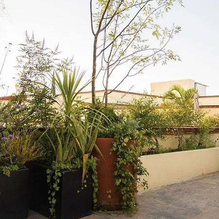 Xtilu Hotel - Adults Only --2