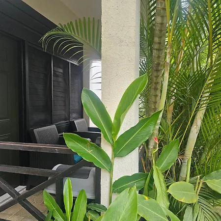 Roots Cafe Negril Rooms-3