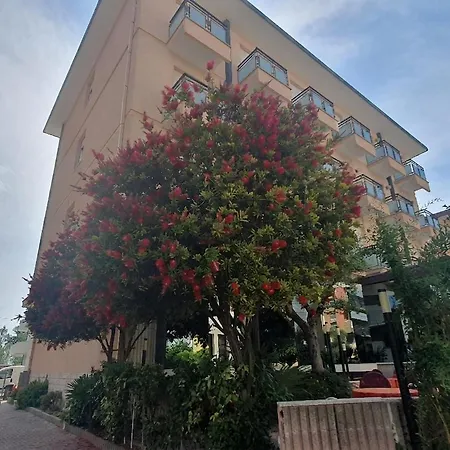 Hotel Conti-3