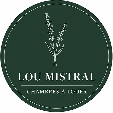 Lou Mistral - chambres de charme climatisées, centre historique-3