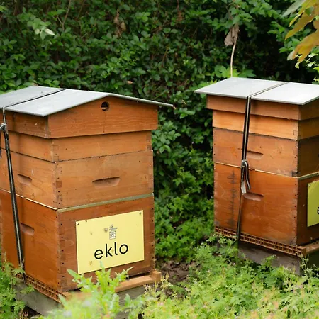Eklo Hotels Lille-2