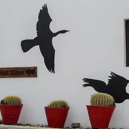 The Cormorant House-3