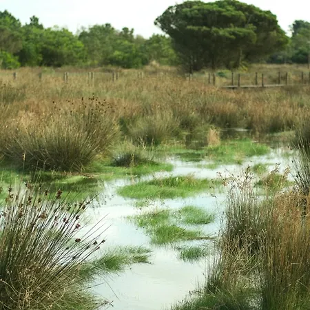 Parque Do Rio Ofir Hotel-2