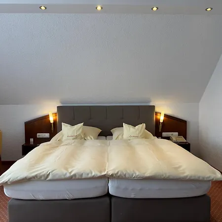 Hotel Lindenhof Kasteel-2