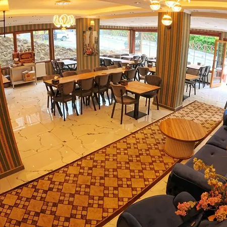 Meric Hotel-2