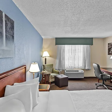 Rodeway Inn-3