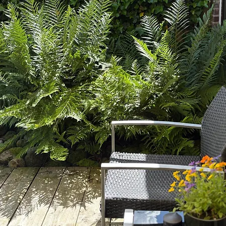 Bed&Breakfast 28 appartement met ruime tuin-3