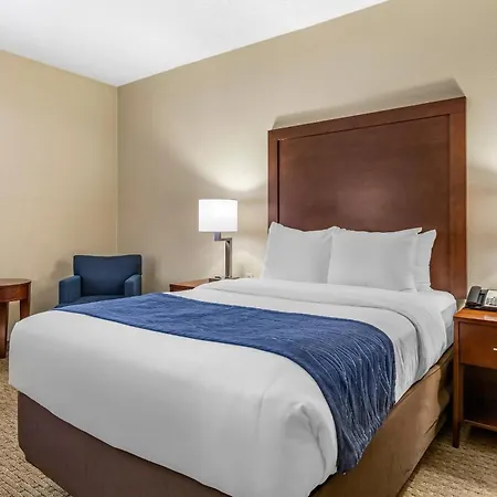 Comfort Inn Near Greenfield Village-2