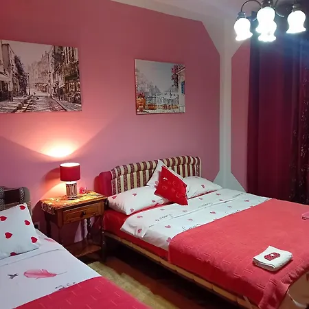 Guest House Cinderella-3