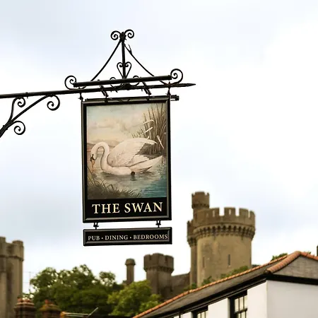 The Swan-2