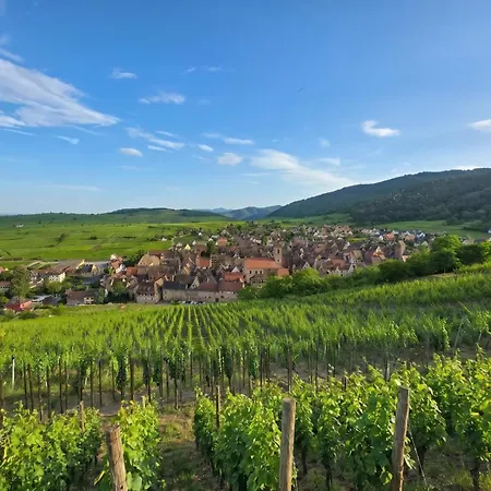 Best Western Hotel&SPA Le Schoenenbourg-2