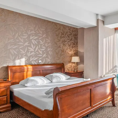 Hotel Diament Vacanza Katowice - Siemianowice-2