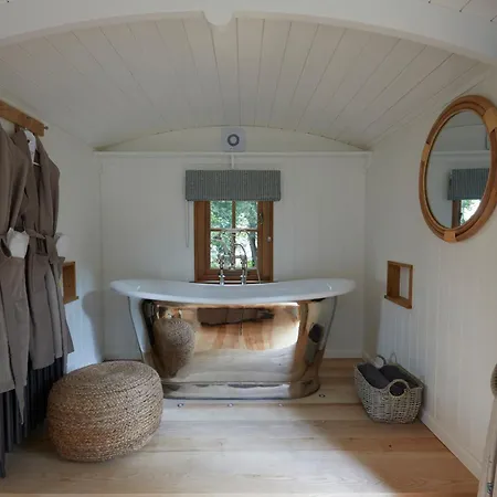 The Fish Hotel-3
