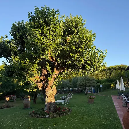 Hotel Colle Etrusco Salivolpi-3