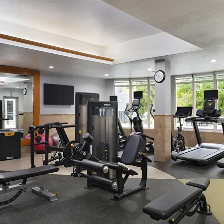Hilton Garden Inn Dfw Airport South-2
