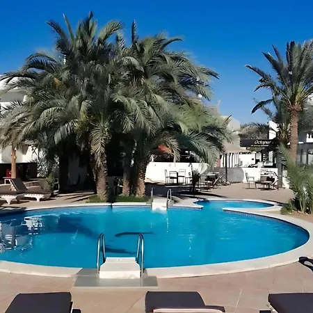 Octopus Hotel-3