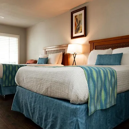 Alamo Inn&Suites - Convention Center-2