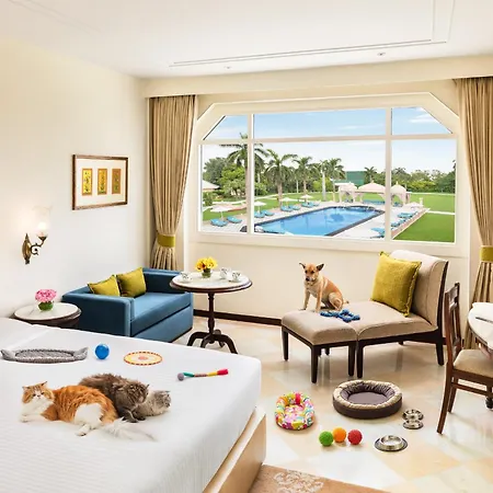 Tajview, Agra-Ihcl Seleqtions-3