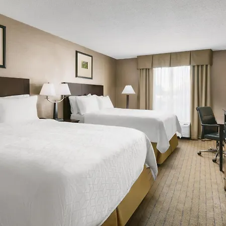 Garner Hotel Brockton - Boston By Ihg-2