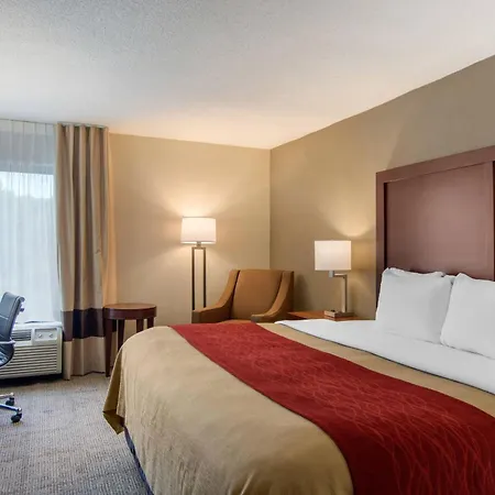 Comfort Inn Chester - Richmond South-2