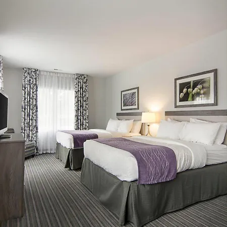 Comfort Inn Williamsburg Gateway-3