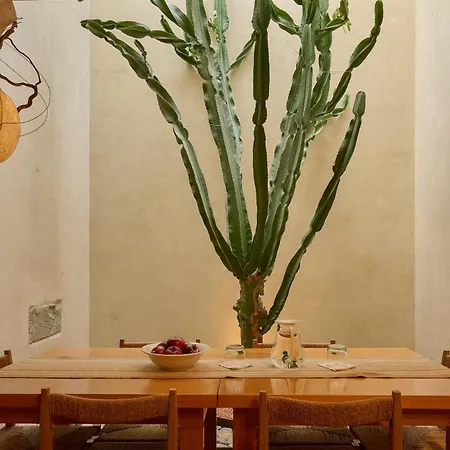 Casa Carmen Reforma-3
