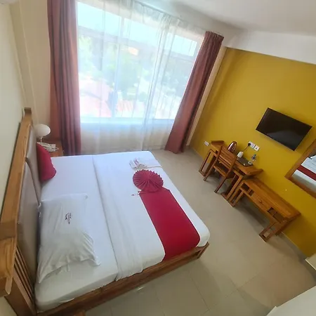 Dolphin Hotel-2
