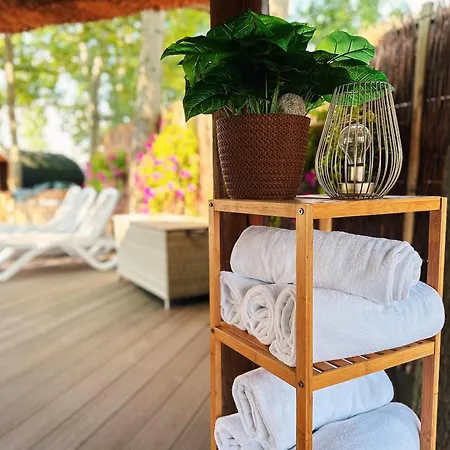 Scandinavia Resort-3