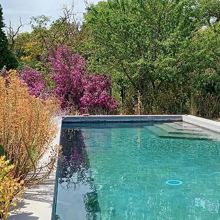 Domaine De Manteau-Bleu-2